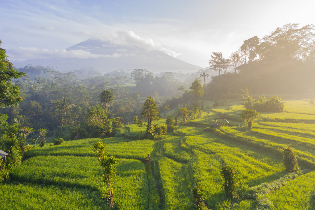 10 Fakten über Bali und das Leben hier!